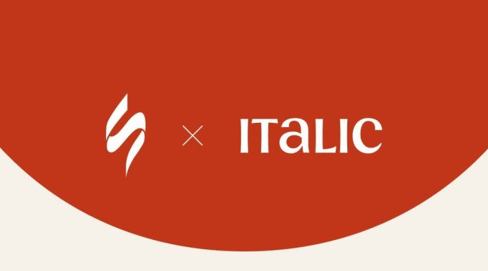 Email Crash Test - Italic