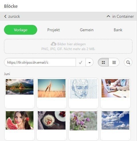 how-to-Build-Email-Template-with-Stripo-Adding-Images-from-the-Gallery_GE how-to-Build-Email-Template-with-Stripo-Adding-Images-from-the-Gallery_GE