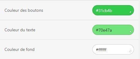 Setting-Colors-for-Buttons_FR Setting-Colors-for-Buttons_FR