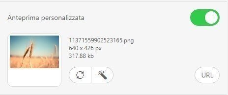 Stripo-Adding-Custom-Thumbnail-Image_IT Stripo-Adding-Custom-Thumbnail-Image_IT