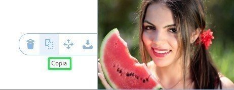 Stripo-How-to-Build-AMP-Emails-with-Stripo_Copy-button_IT Stripo-How-to-Build-AMP-Emails-with-Stripo_Copy-button_IT