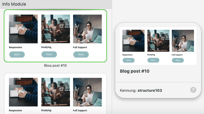 Previewing Modules_DE Previewing Modules_DE