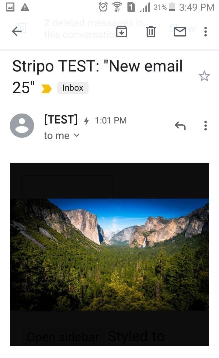 AMP_Lightbox_Expanded Photo (1)