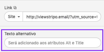 Entering Alt Text_Gmail_PT