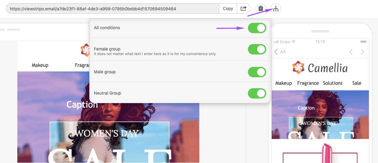 Previewing Emails with Conditions_Stripo