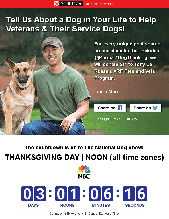 Stripo Countdown Timer with Specified Time Zone Stripo Countdown Timer with Specified Time Zone