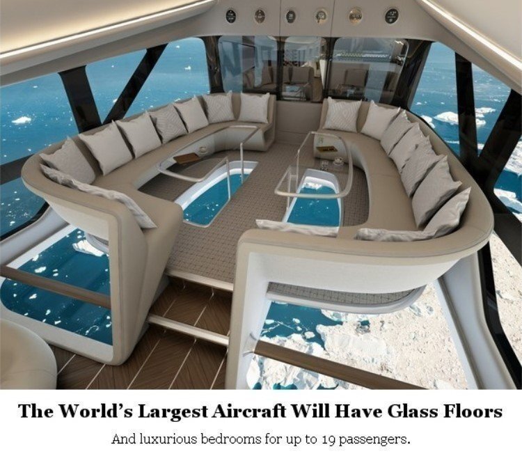 Stripo-Travel-Sharing-news Stripo-Travel-Sharing-news