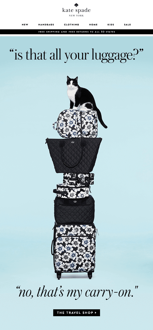 Stripo-Epic-Newsletters-Kate Stripo-Epic-Newsletters-Kate