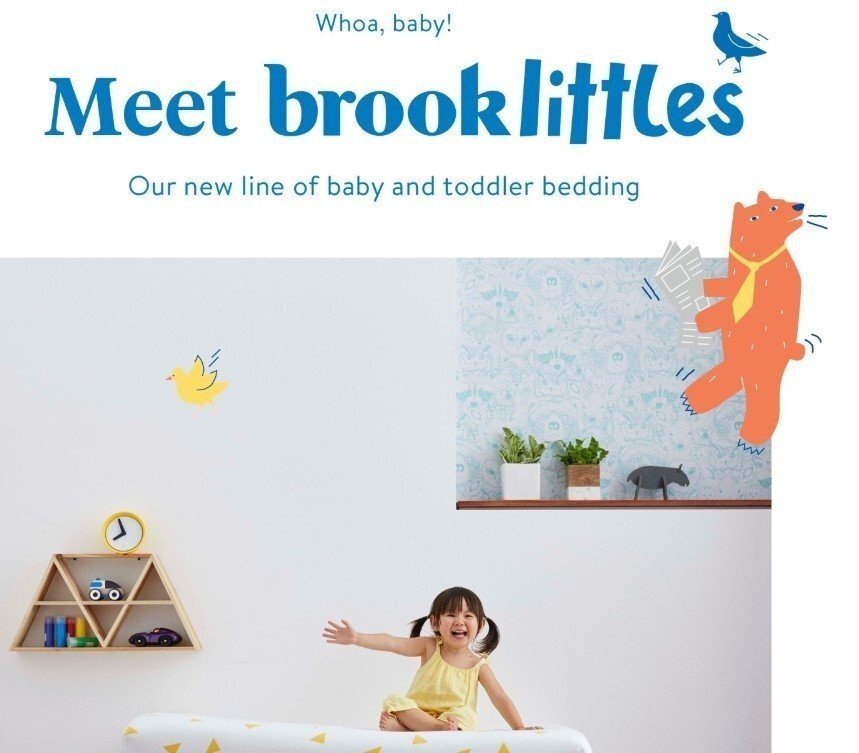 Stripo-Emoji-in-Emails-Brookilinen-Email Stripo-Emoji-in-Emails-Brookilinen-Email