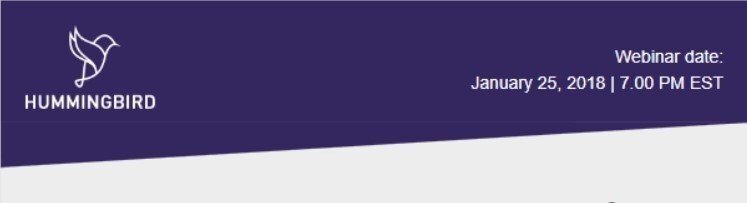 Stripo-Frame-in-Header Stripo-Frame-in-Header