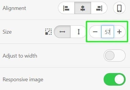 Stripo-Header-Setting-Logo-Size Stripo-Header-Setting-Logo-Size