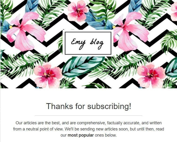 Stripo-Thank-you-Message Stripo-Thank-you-Message