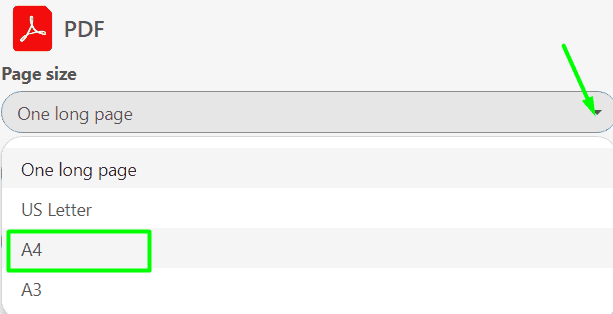 Stripo Export to PDF A4 Format