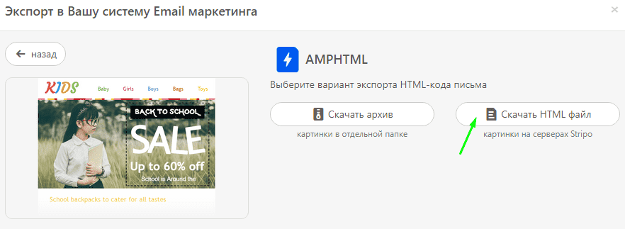 Stripo Downloaing Files as AMP HTML Stripo Downloaing Files as AMP HTML