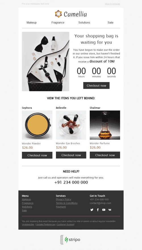 485-Stripo-Cosmetics-Trigger-newsletter-Abandoned-Cart-Time-to-Buy-email-web