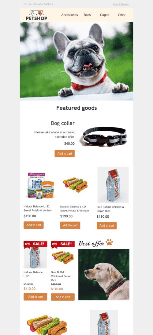 Promo Email Template "Best Friends" for Pets industry mobile view