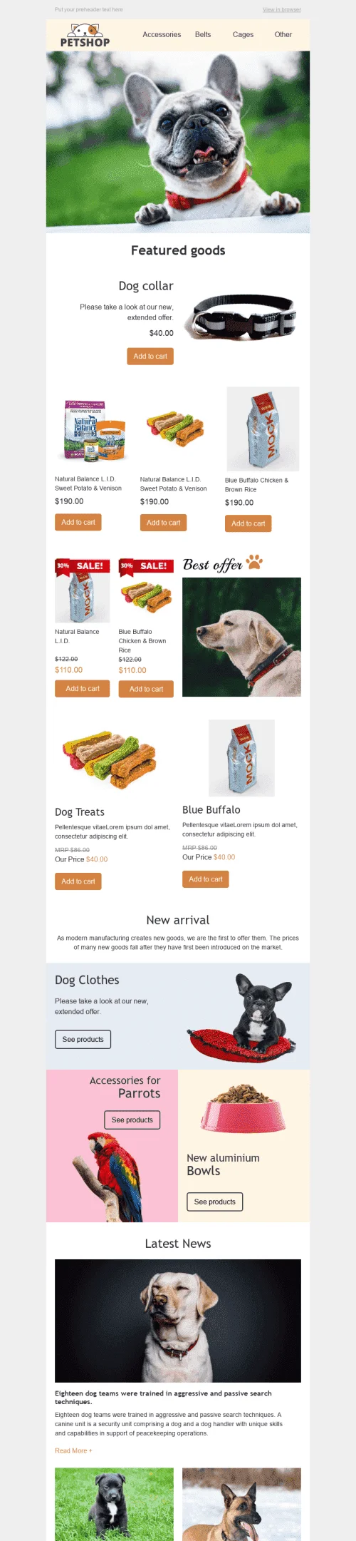 528-Stripo-Pets-Promo-newsletter-email-web