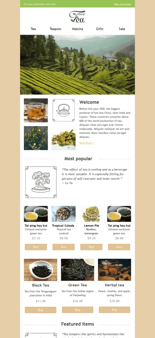 576-Stripo-Beverage-Coffee-Promo-newsletter-Tea-Shop-email-web