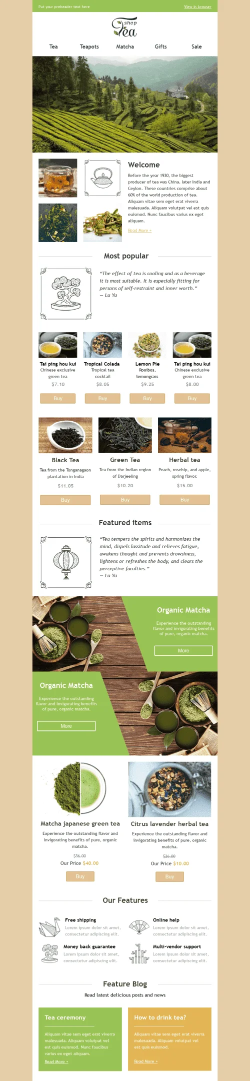 576-Stripo-Beverage-Coffee-Promo-newsletter-Tea-Shop-email-web