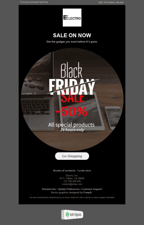 1017-Stripo-Gadgets-Holiday-newsletter-Black-Friday-email-web