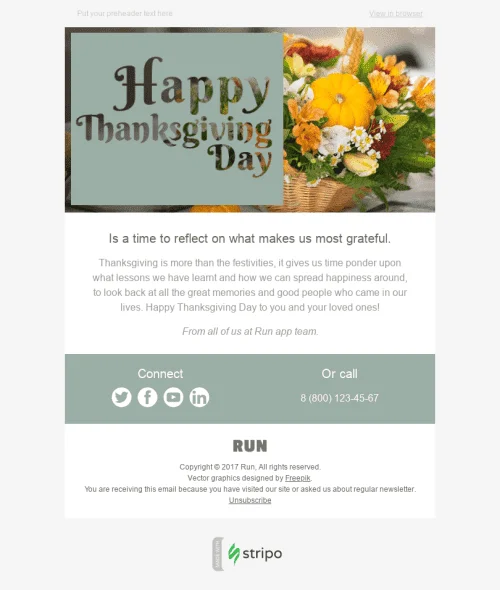 1166-Stripo-Software-Holiday-newsletter-Thanksgiving-Day-email-web