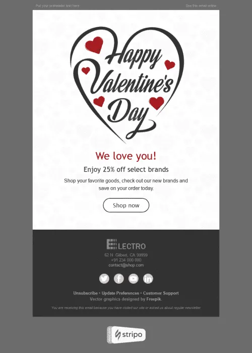 2528-Stripo-Gadgets-Holiday-newsletter-Happy-Valentine-day-Love-Around-Us-email-web