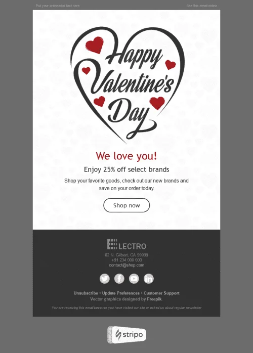 2528-Stripo-Gadgets-Holiday-newsletter-Happy-Valentine-day-Love-Around-Us-email-web