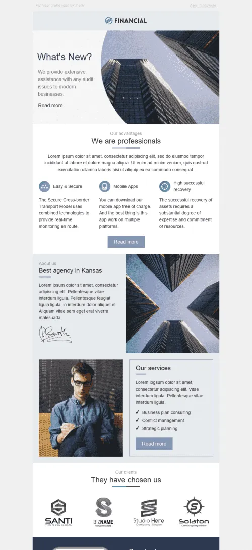 3504-Stripo-Finance-Promo-newsletter-We-Are-Professionals-email-web
