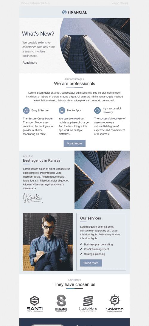Promo Email Template "We Are Professionals" for Finance industry mobile view