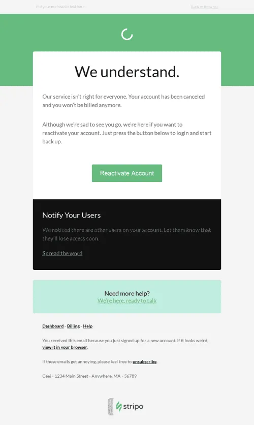 3977-Stripo-Software-Trigger-newsletter-Retention-Reactivation-Suspended-Account-email-web
