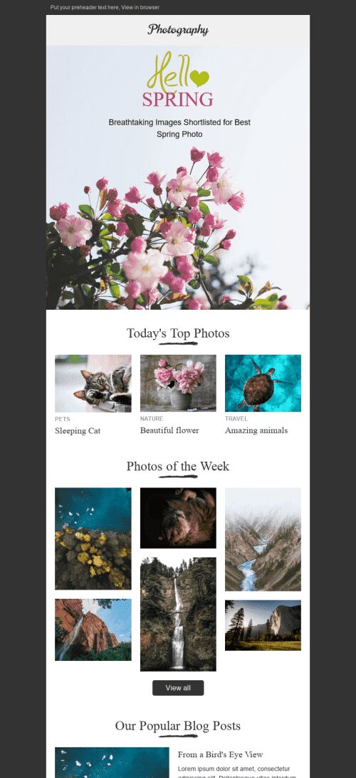 Promo Email Template "Amazing Nature" for Photography industry mobile view