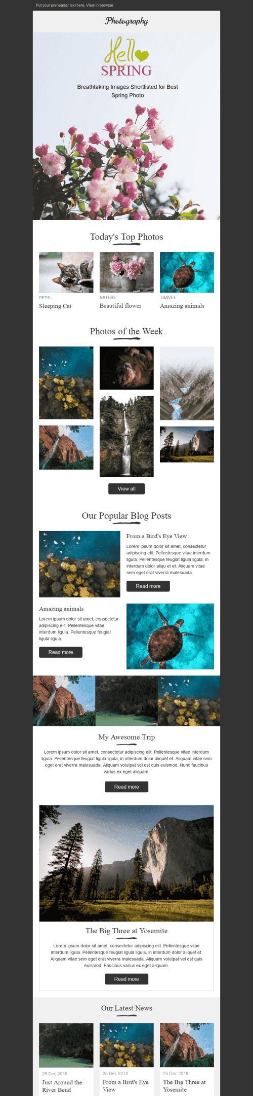 Modèle de courrier électronique Promo "Une nature étonnante" pour le secteur Photographie Affichage mobile