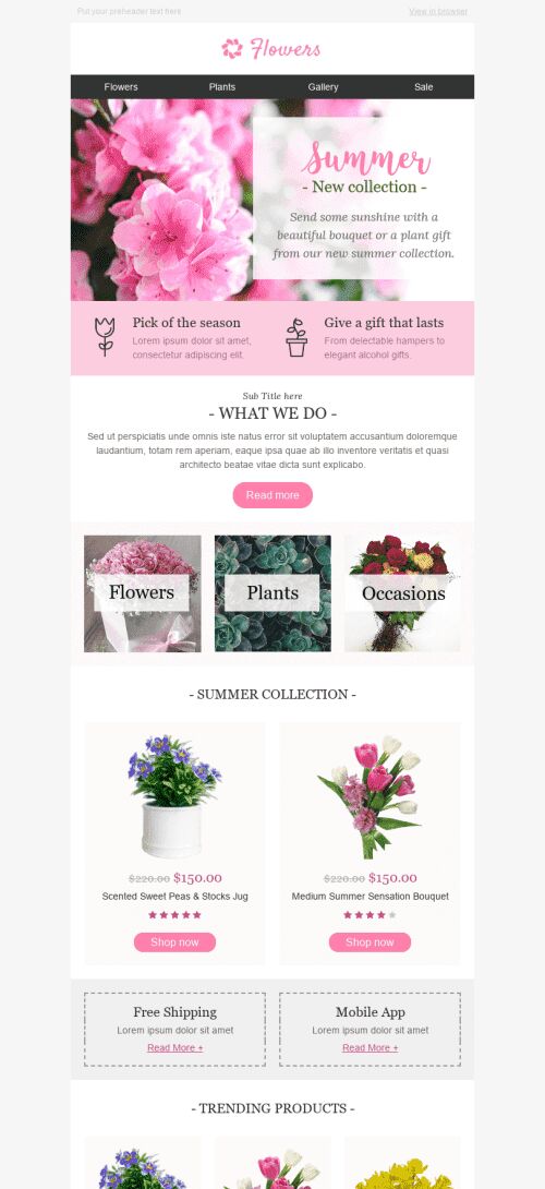 Promo Email Template "Special Occasion" for Gifts & Flowers industry mobile view