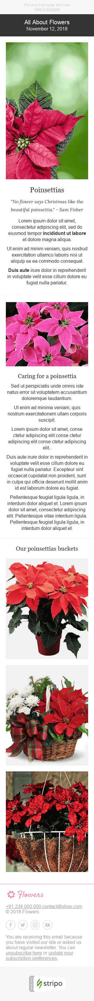 Modèle de courrier électronique Email de Rapport "Jolies plantes" pour le secteur Cadeaux & Fleurs Affichage mobile