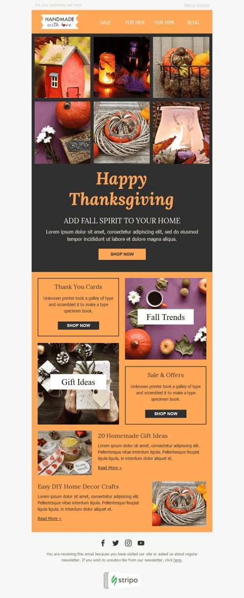 24698-Stripo-Books-Presents-Stationery-Holiday-newsletter-Halloween-Fall-Spirit-email-web
