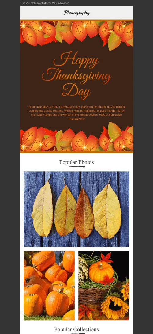 27208-Stripo-Photography-Holiday-newsletter-Thanksgiving-Day-Golden-Autumn-email-web