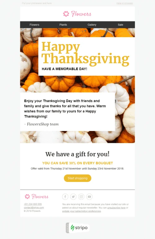 28628-Stripo-Gifts-Flowers-Holiday-newsletter-Thanksgiving-Day-Memorable-Day-email-web