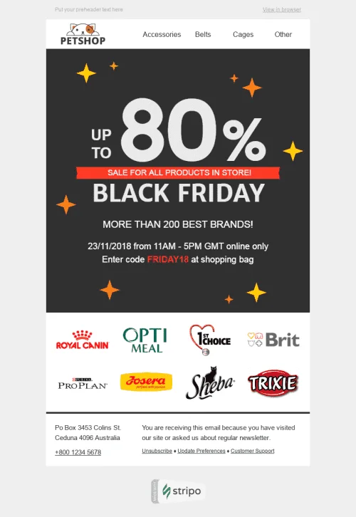 29952-Stripo-Pets-Holiday-newsletter-Black-Friday-Love-and-Care-email-web