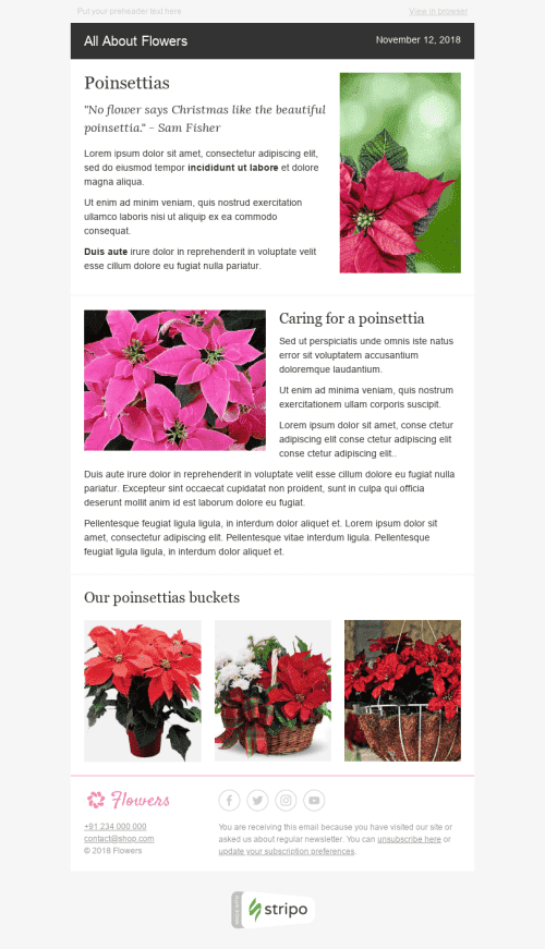 Modèle de courrier électronique Email de Rapport "Jolies plantes" pour le secteur Cadeaux & Fleurs Affichage ordinateur