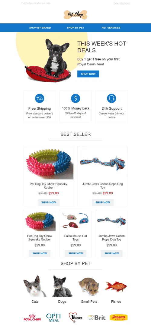 38783-Stripo-Pets-Promo-newsletter-Favorite-toys-email-web1