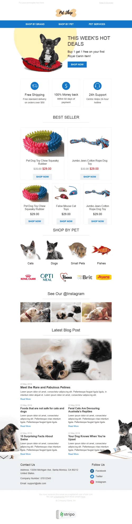 38783-Stripo-Pets-Promo-newsletter-Favorite-toys-email-web1