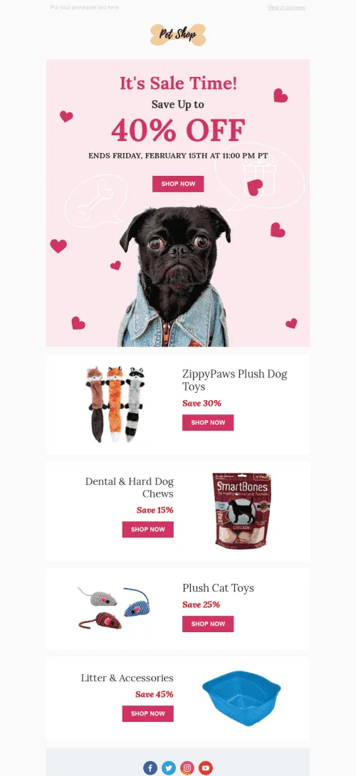 44795-Stripo-Pets-Holiday-newsletter-Valentines-day-Perfect-Gift-email-web1