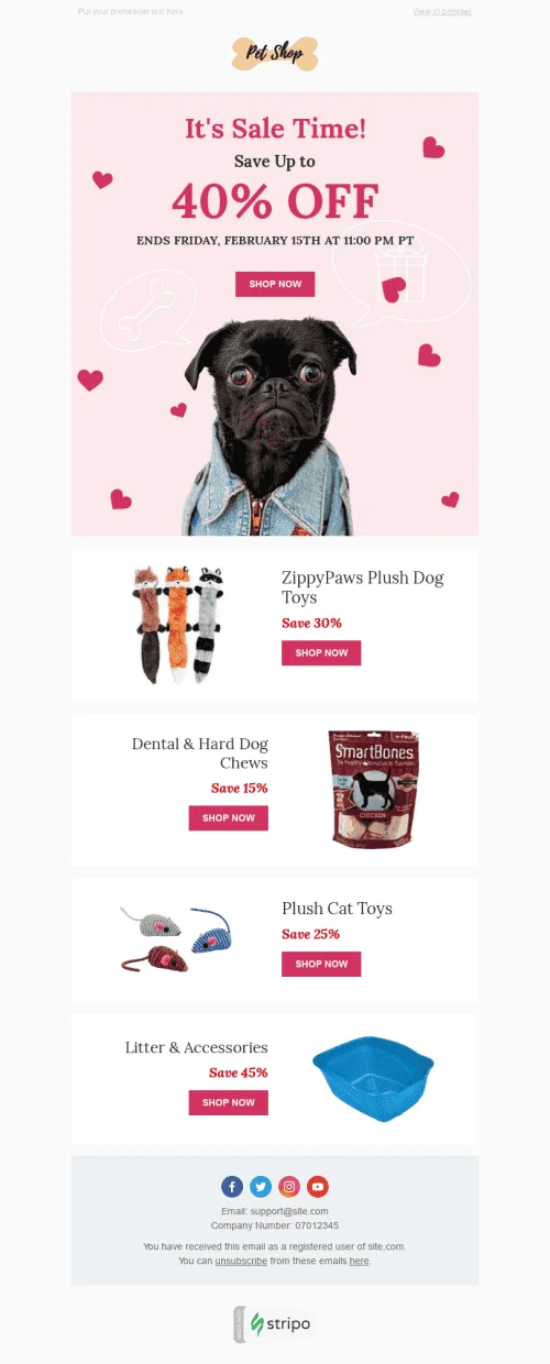44795-Stripo-Pets-Holiday-newsletter-Valentines-day-Perfect-Gift-email-web1