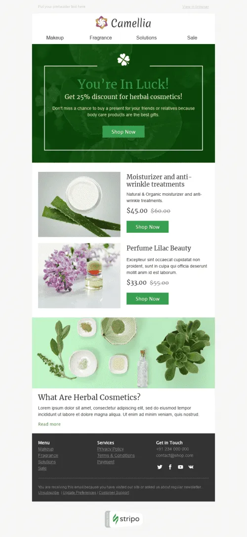 52686-Stripo-Cosmetics-Holiday-newsletter-Saint-Patricks-Day-Herbal-email-web