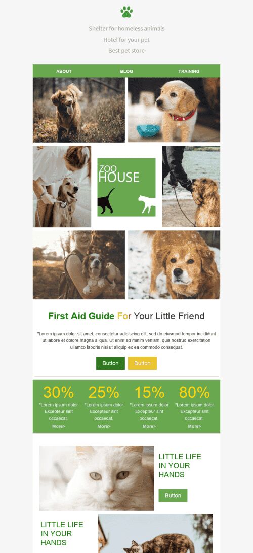 Promo Email Template «Pets Place» for Pets industry mobile view