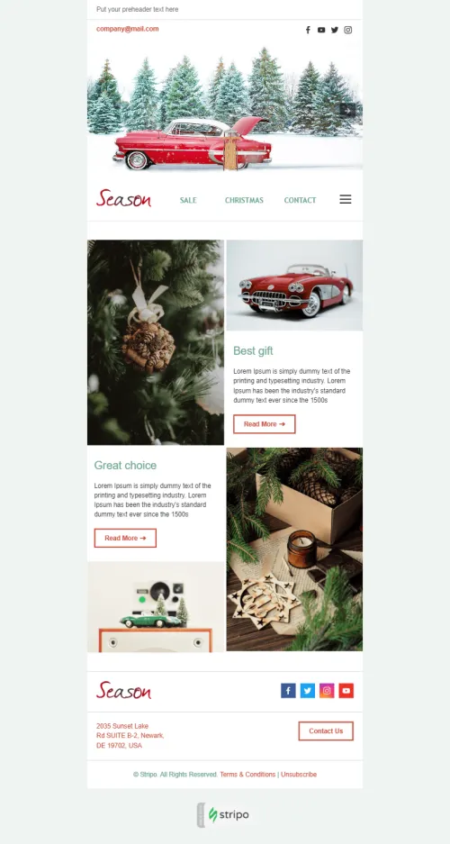 186705-Stripo-Gift-&-Flowers-Holiday-newsletter-Сhristmas-Holiday-Season-email-web