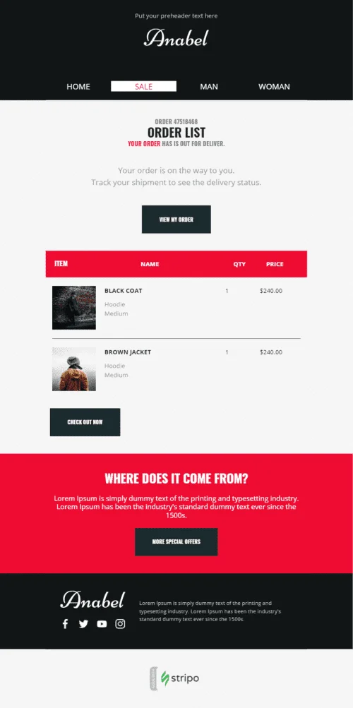 249426-Stripo-Fashion-Trigger-newsletter-Confirmation-Get-It-Soon-email-web